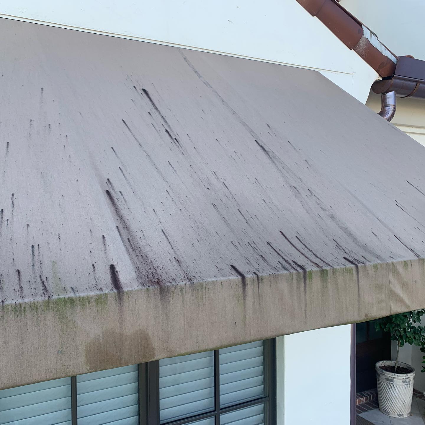 Our Awning Cleaning Results — photo 1