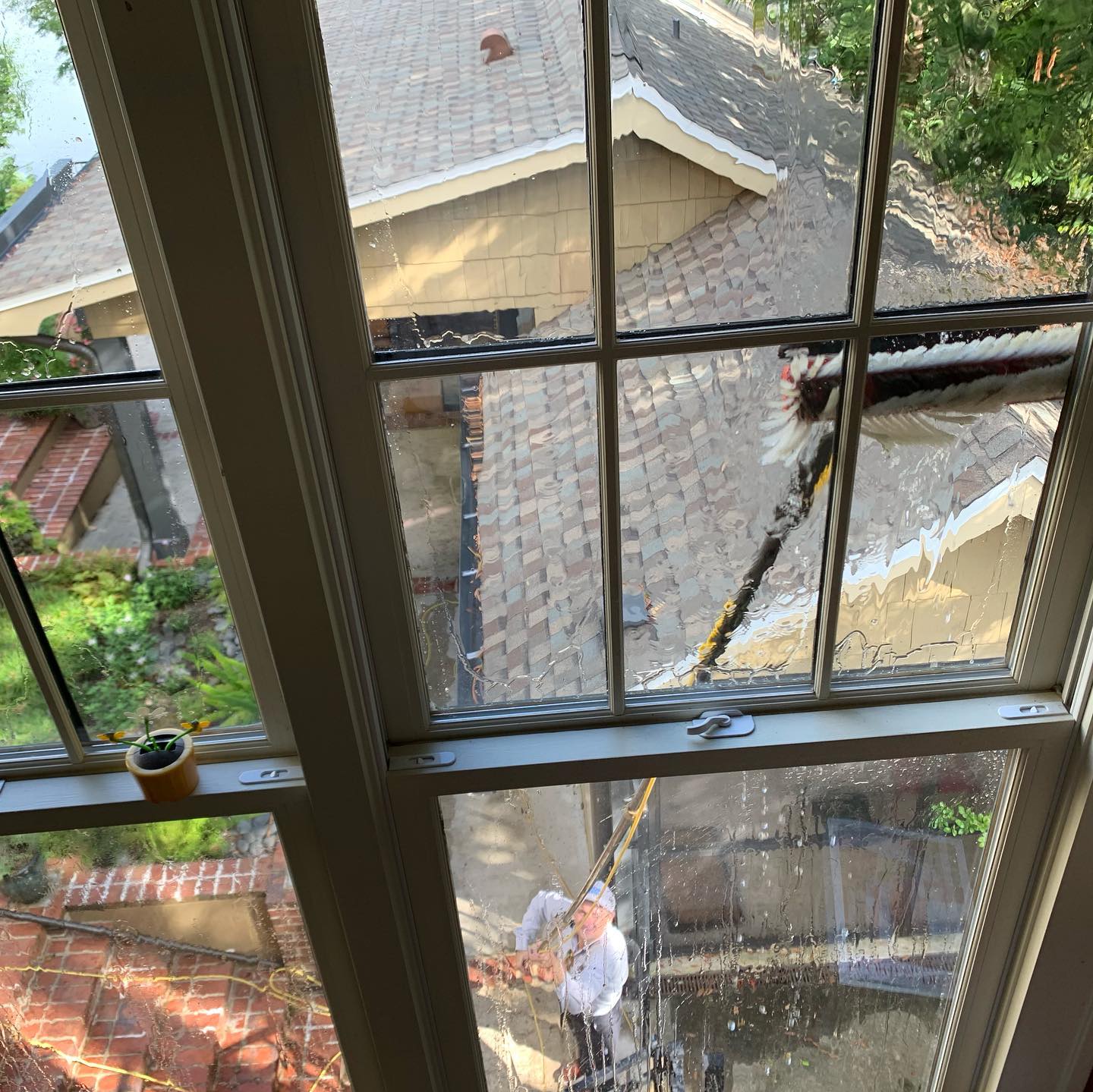 Our Window Cleaning Work — photo 4