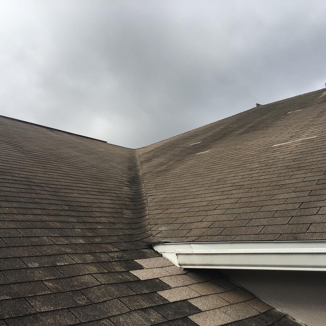 Roof Cleaning in Orlando, FL — before