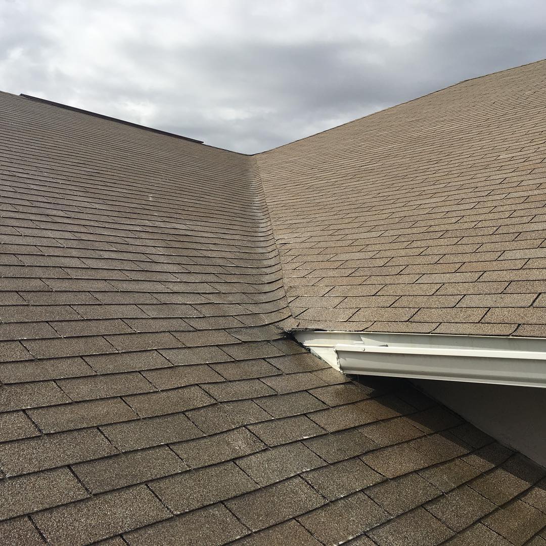 Roof Cleaning in Orlando, FL — after
