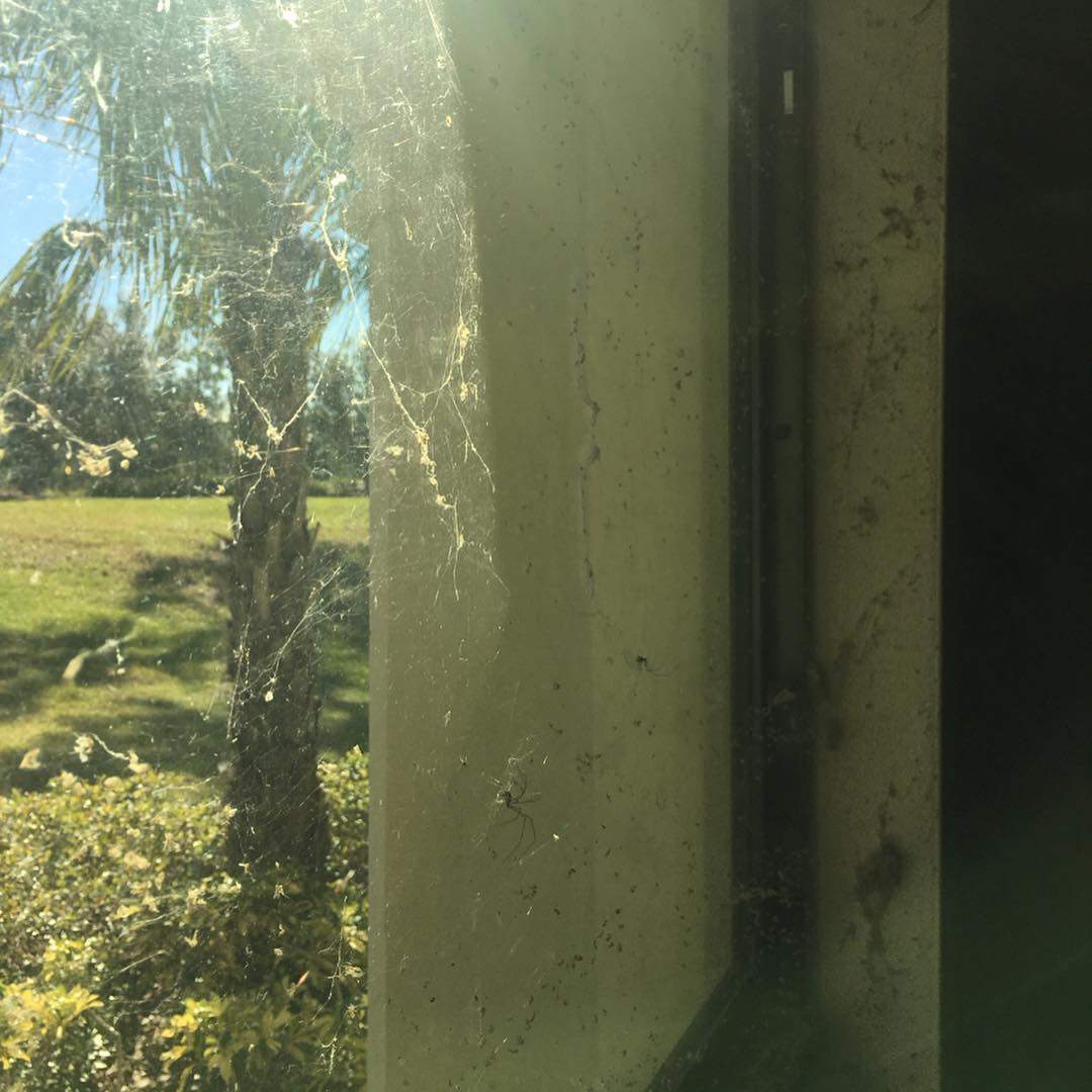 Window Cleaning in Orlando, FL — before